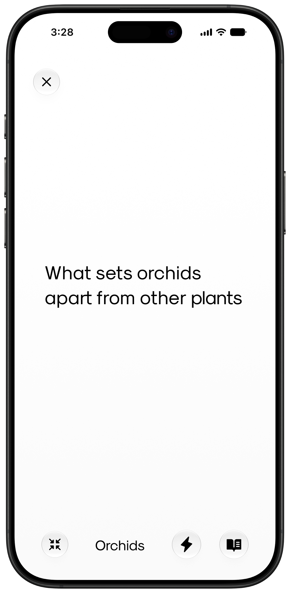 Orchid early reading session with a short sentence